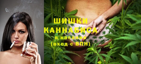 PSILOCYBIN Костерёво