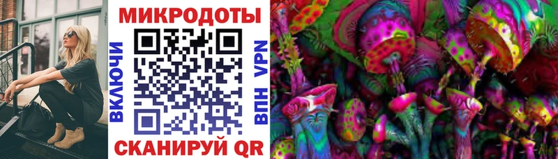 Галлюциногенные грибы мухоморы  блэк спрут как зайти  Шимановск 