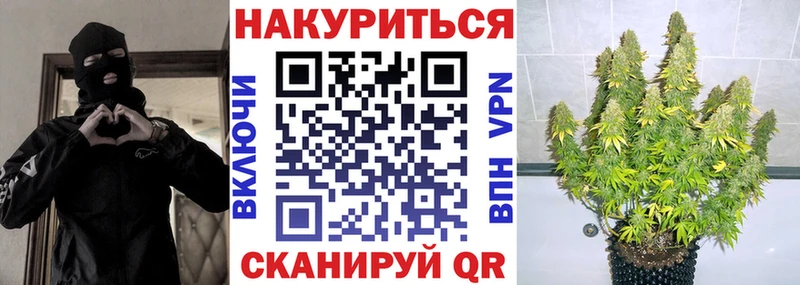 Бошки марихуана сатива  цены   Шимановск 